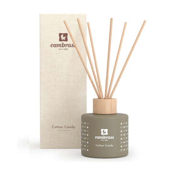 DIFUSOR MIKADO 100 ml